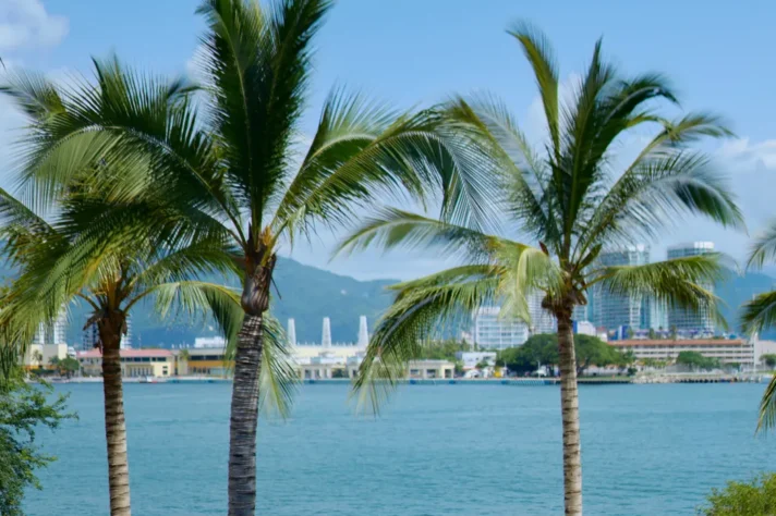 Galeria_marinatowers_25, Marina Towers, Puerto Vallarta, Jalisco, México
