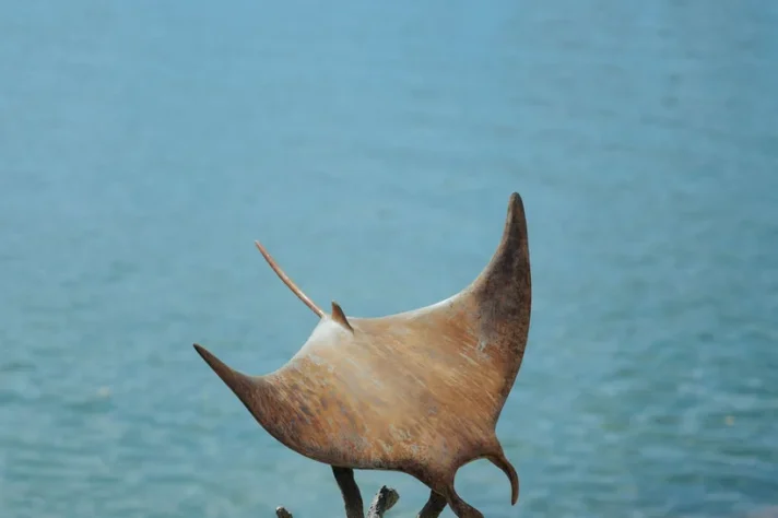 Gallery_beach_8, Marina Towers, Puerto Vallarta, Jalisco, México